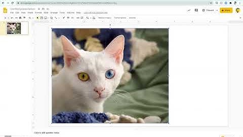 Inserting Images & Shapes in Google Slides