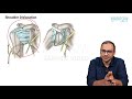 Orthopaedics : Anterior dislocation of shoulder - Marrow Edition 5 (Clinical Core) Sample Video
