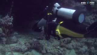 كهف في البحر الأحمر -  الغوص في ينبع - Cave in Red Sea - Yanbu, Saudi Arabia