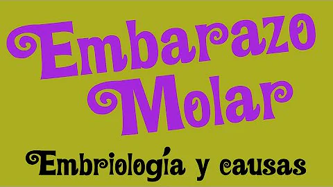 Como se forma mola hidatiforme?