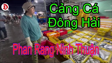 KHÁM PHÁ - CẢNG CÁ ĐÔNG HẢI- PHAN RANG NINH THUẬN- NHIỀU LOẠI CÁ TO KHỦNG!