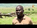 Inside Lewa :Lifesaving Rhino Ear-Notching Mission