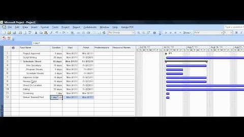 MSP2007_BasicGanttChart.mp4