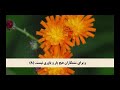 جزء بیست و پنجم قرآن کریم با ترجمه گویای فارسی 