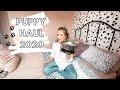 PUPPY HAUL 2020 - interesting things we have bought for our puppy.