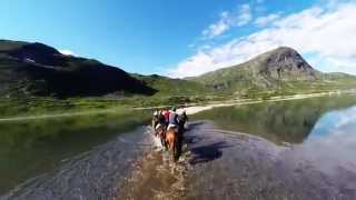 Galloping on the beach in the Norwegian mountains
