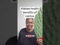 HIDDEN HEALTH BENEFITS OF CACTUS Healthy Phillismutoko Cactus Health Homemade Homeremedies