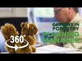 Careers in forestry: Planning Manager - 360° video