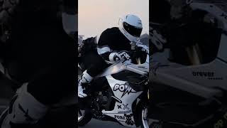 少年白马醉春风 扬鞭策马倚斜阳 #450SR  