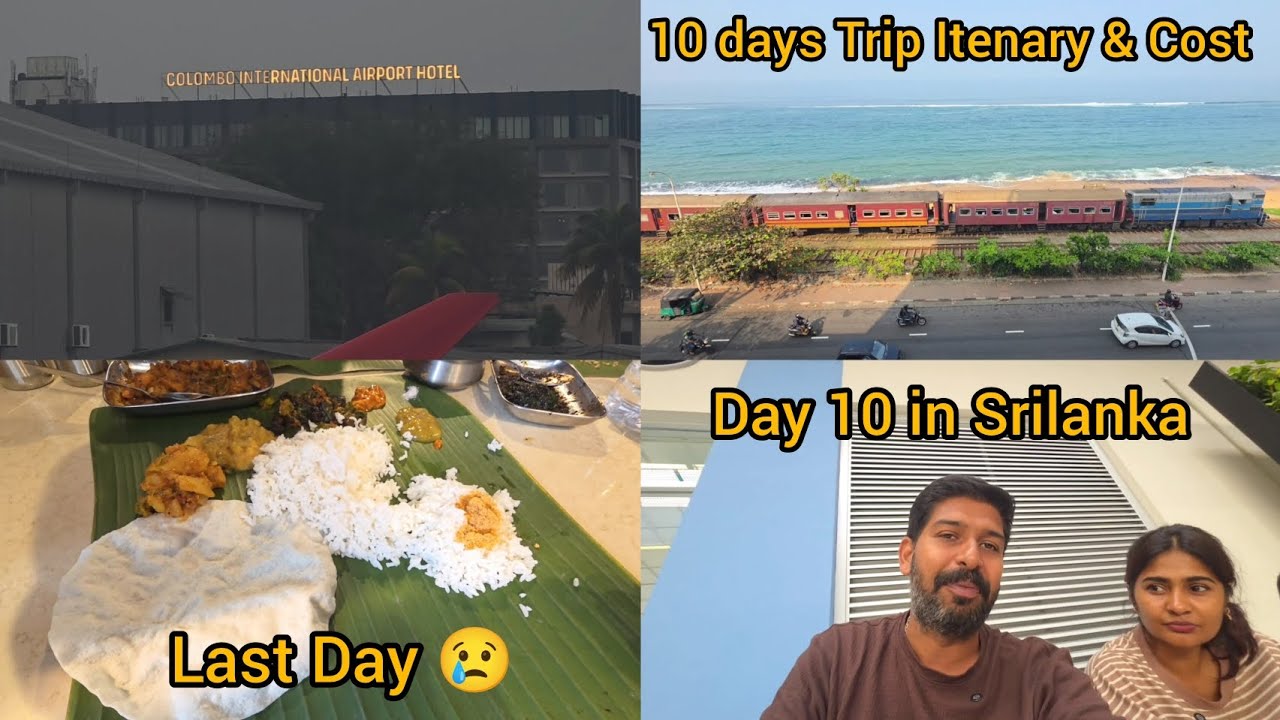 Стоимость поездки и последний день в Шри-Ланке. Спасибо ♥️ #amruthaabishek #tamil #vlog