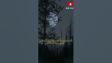 سورة الرعد | القارئ حاتم المالكي #quran