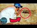 Top 10 Craziest Things Found in the Desert