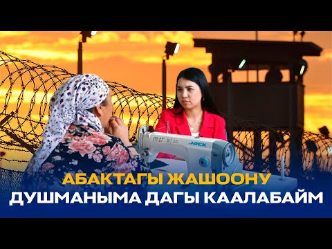 Video: Эгемендүүлүк декларациясы ким үчүн болгон?