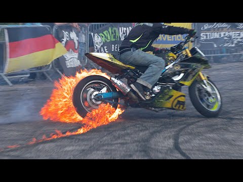 Best Stunt Show Highlights