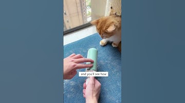 Use This Roller Instead of Lint Roller!