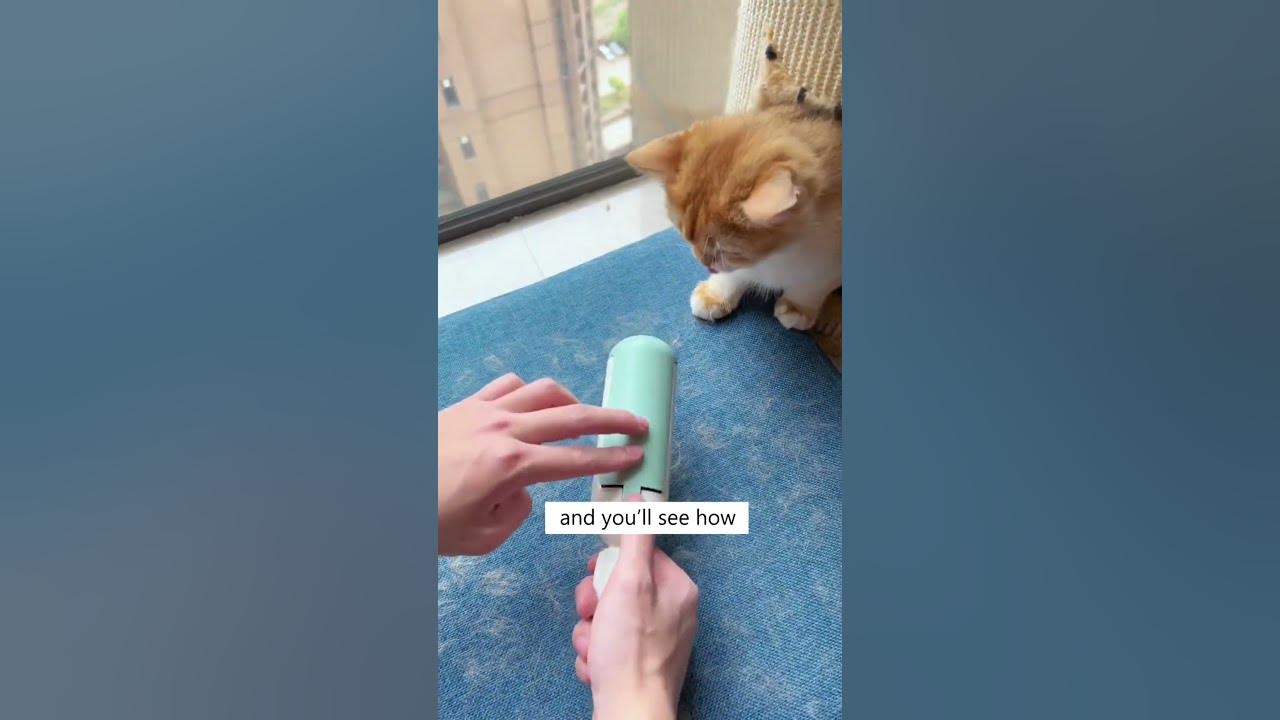 Use This Roller Instead of Lint Roller! YouTube