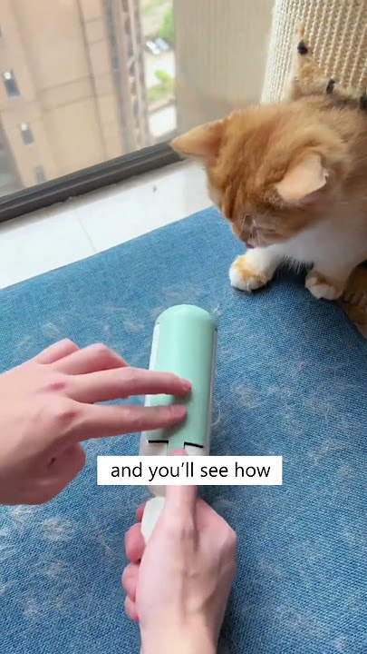 Use This Roller Instead of Lint Roller!