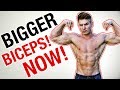 How To REALLY Build Bigger Biceps Naturally | Advice That Works Because I'm Not A FAKE NATTY SCUMBAG