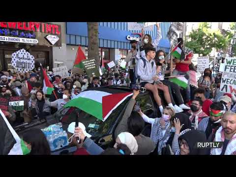 Pro-Palestine demonstrators rally in Brooklyn