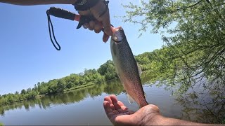 Trout stock up lakes (hopping) #troutfishing #fishing #trout
