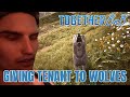 Together bnb  what happens when you give the tenant to the wolves