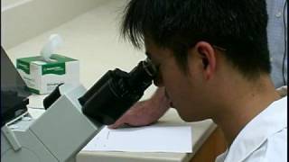 Cancer Killing Viruses