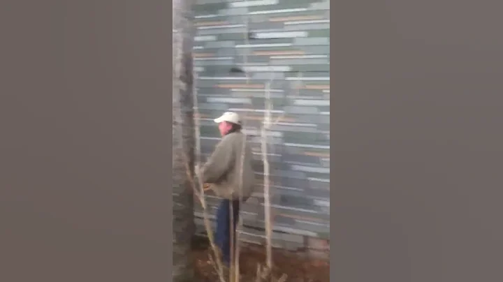 Roger looking for (picture frame) boards at old pl...