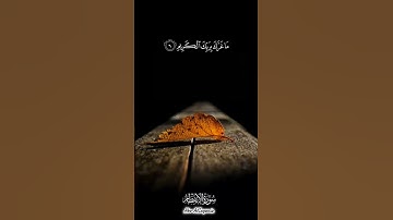 سورة الانفطار {يَا أَيُّهَا الْإِنسَانُ مَا غَرَّكَ بِرَبِّكَ الْكَرِيمِ} بتلاوة عذبة خاشعة