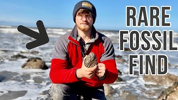 Teen Fossil Hunter Finds Rare Species - Plus Ammonite Preparation And Opening Fossils
