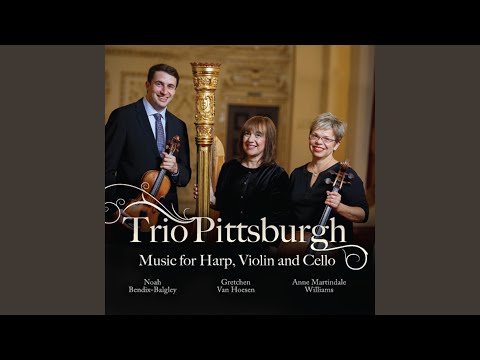 Sonata for Violin and Harp in D Minor: I. Andante con moto adlı videoyu YouTube'da izle