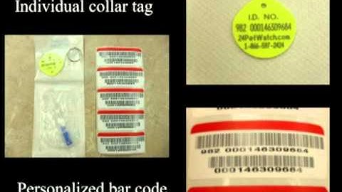 Veterinary Pet Microchip Video