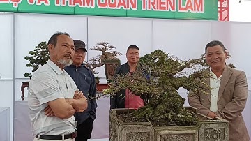 Triển lãm cây cảnh Triệu Điền 2025