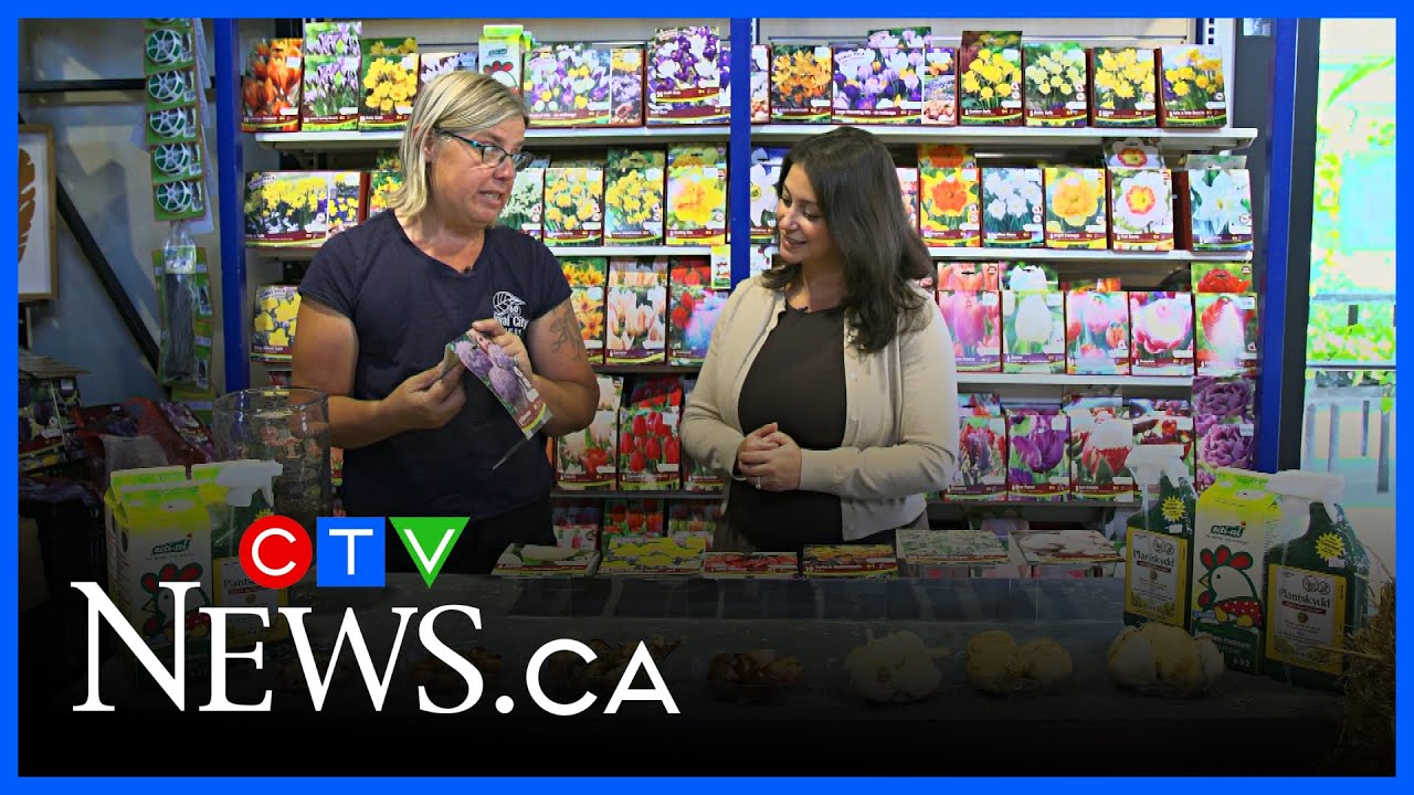 Get Growing: Planting bulbs for beautiful spring blooms