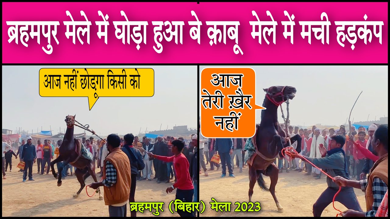 Brahmpur mela 2023 मेले में घोड़ा हुआ बेक़ाबू लोगो में मची हड़कंप । कही लोगो की बची जान
