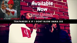 Trapanese X Pen To Paper