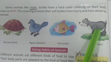 Life Functions of Animals || Class 5th | Science | Chapter - 2 | Part -1 ||
