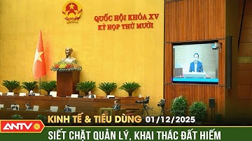 Bản tin kinh tế và tiêu dùng ngày 1/12: Quốc hội thảo luận gỡ vướng quản lý đất hiếm | ANTV