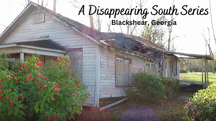 Blackshear, Georgia - A Disappearing South Series