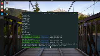 Linux для начинающих   Урок #11 – Bash Shell скрипты