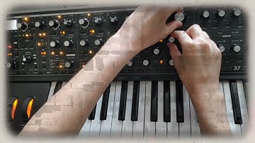 Studio jam on Moog Subsequent 37