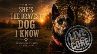STEIJN - The Bravest Dog i Know (LIVE Performance) STEIJN - The Bravest Dog i Know (LIVE Performance)