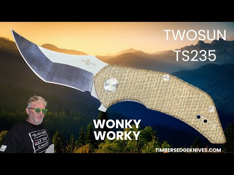 Twosun TS235