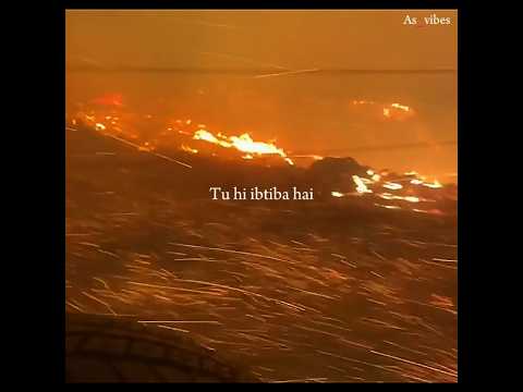 Malang Lyrics Aesthetic Lyrics Video Shorts Malang Song Lyrics 