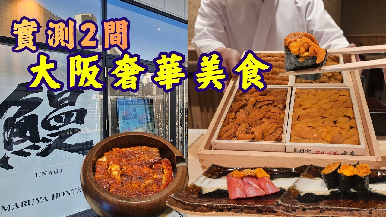 實測2間大阪奢華美食😋任吃日本海膽拖羅壽司放題🍣まるや本店 | 梅田 すし継