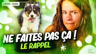 Voici pourquoi le RAPPEL de votre chien n'est pas bon ! | Laetitia Gonnon  Eduzen