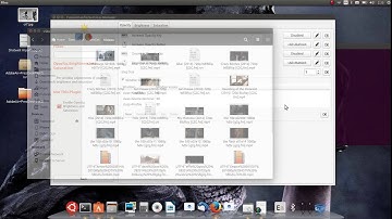 How to install CompizConfig Setting Manager