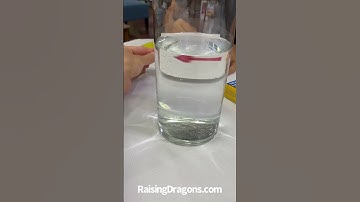 Reverse Image Experiment #scienceexperiment #easyscienceprojects #kids