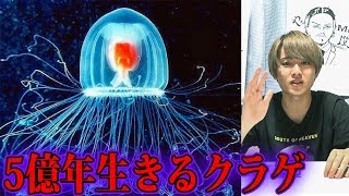 地球上で最も寿命の長い生物