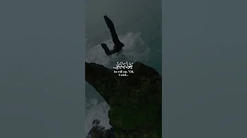 ويوم يعض الظالم على يديه 