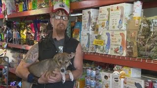 Echo Bark In Silver Lake Is Community Resource For Pet Owners